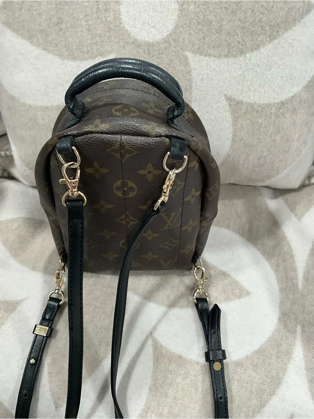 Louis Vuitton Monogram Palm Springs Backpack